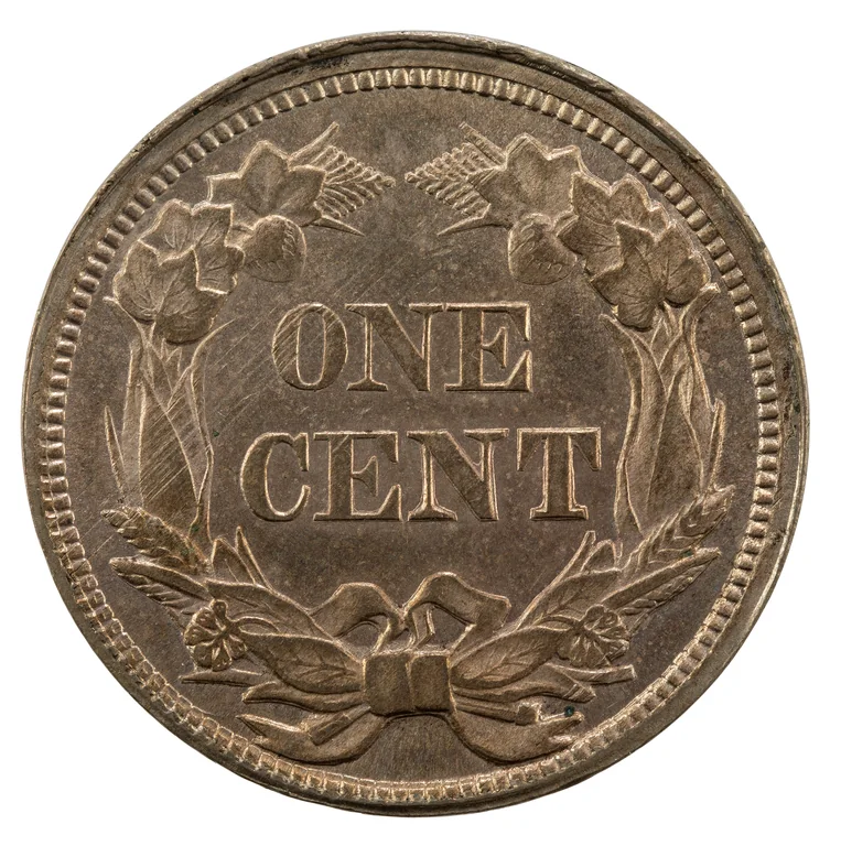 Flying Eagle Cent: back (type example, 1858 Flying Eagle cent)